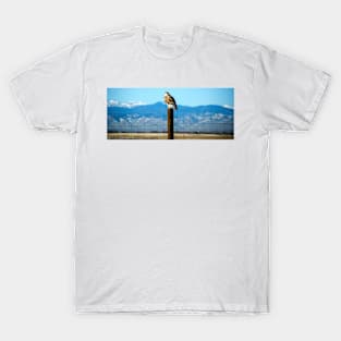 Ferruginous Hawk T-Shirt